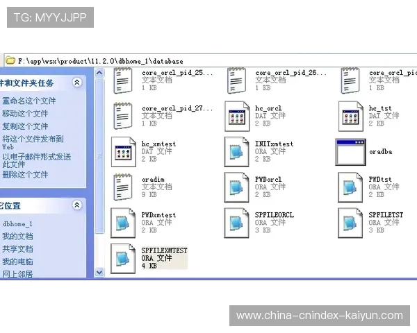 全面剖析网站快照回档产生的核心原因与后续恢复优化实施方案